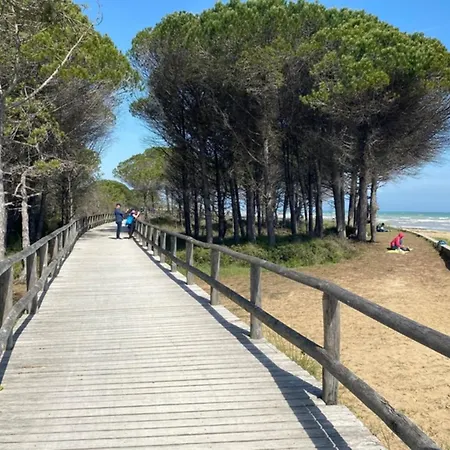 Daire Colorful With Patio Bibione